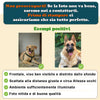 Animaletti Viso - Tazza Personalizzata